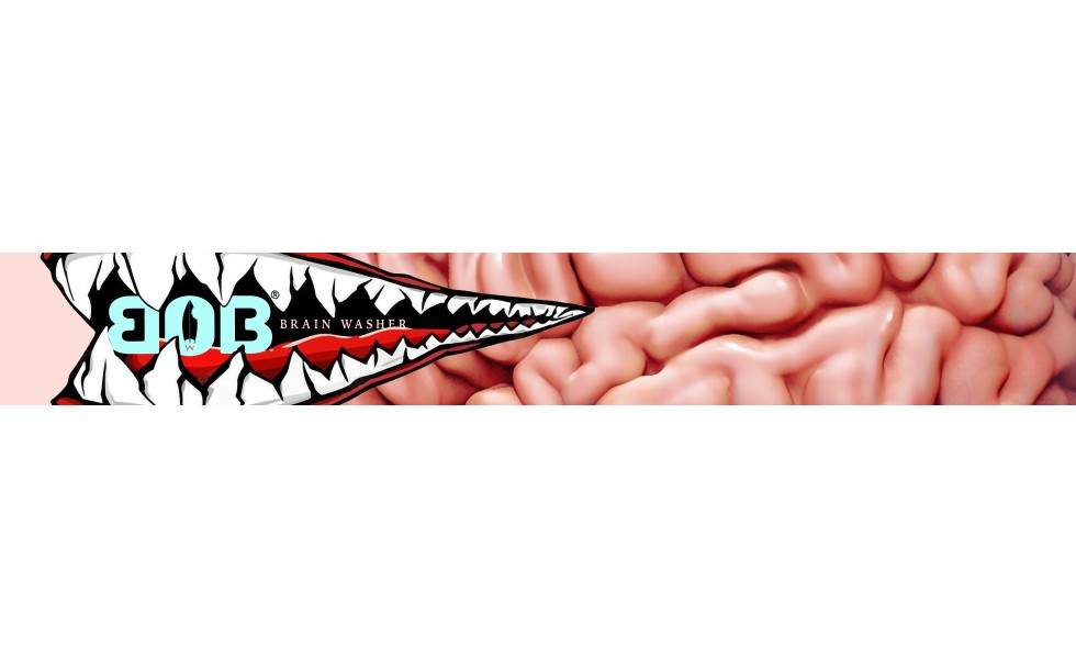 Born on Board - BRAIN WASHER Lasit + kirkas linssi