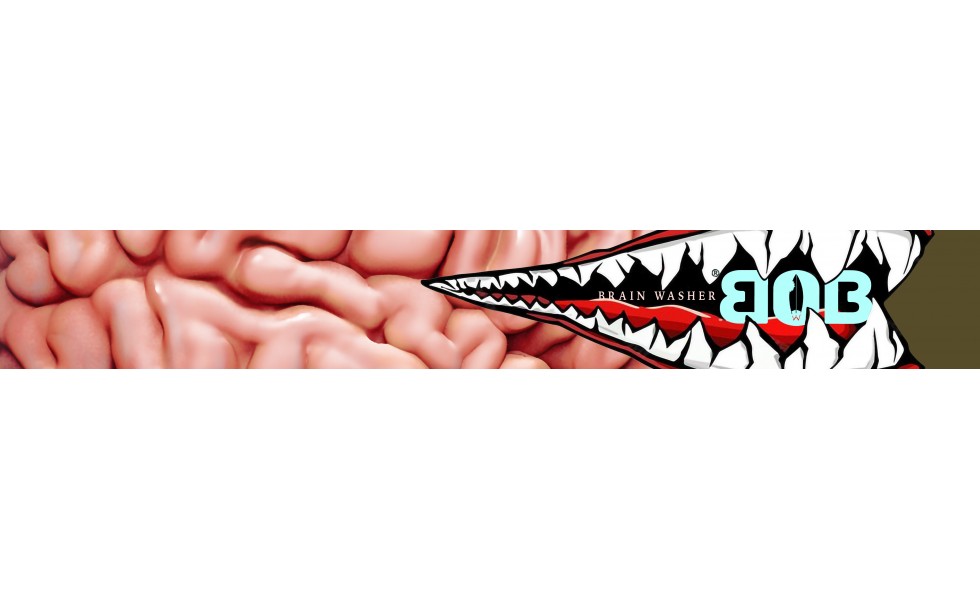 Born on Board - BRAIN WASHER Lasit + kirkas linssi