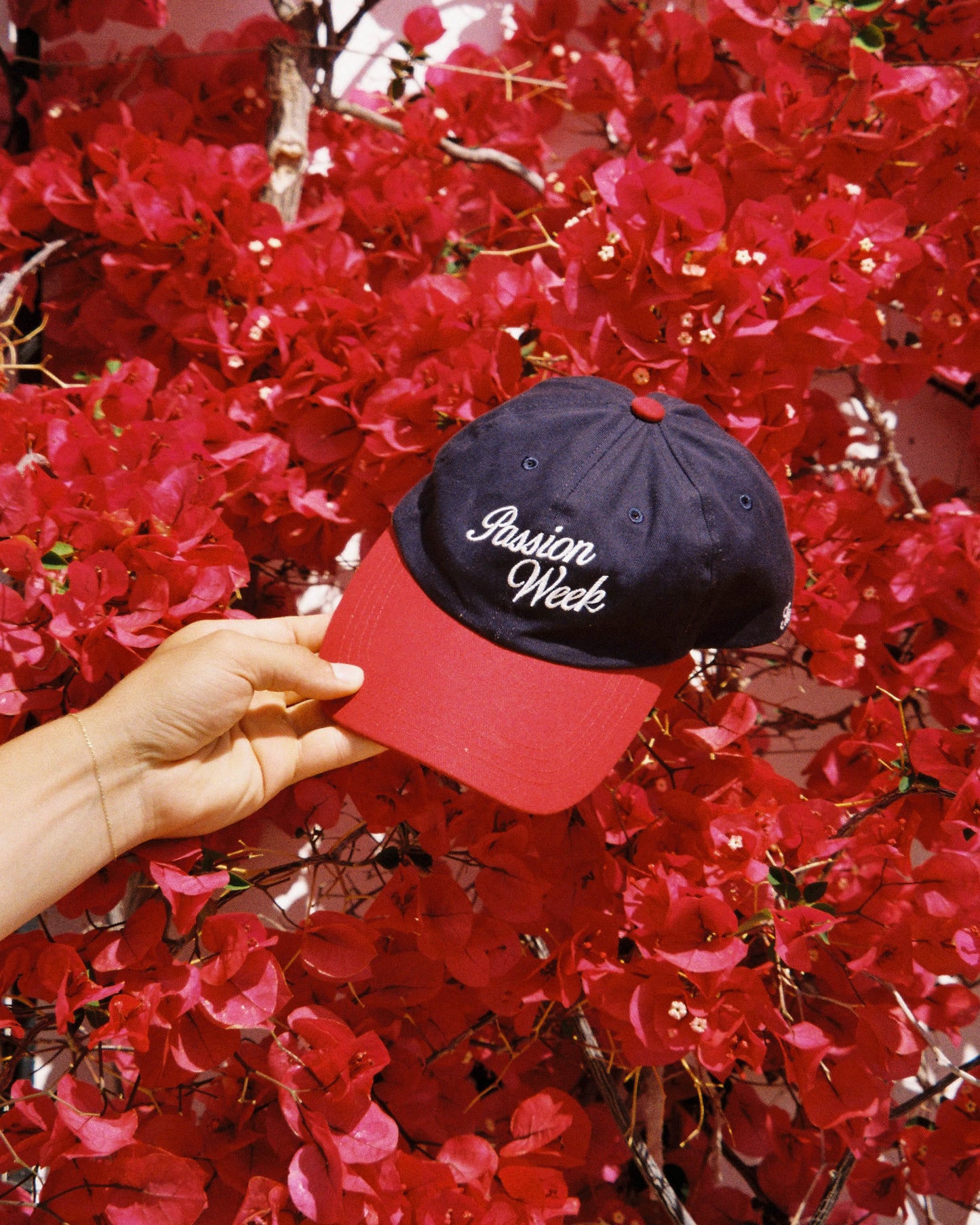 The Loose Company - Passion Week -lippis